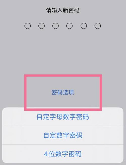 市中苹果14维修分享iPhone 14plus设置密码的方法 